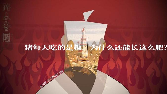 猪每天吃的是糠，为什么还能长这么肥？
