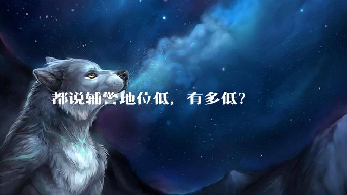 都说辅警地位低，有多低？