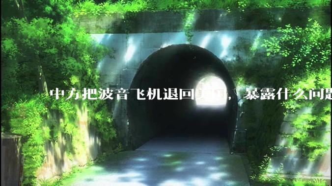 中方把波音飞机退回美国，暴露什么问题？