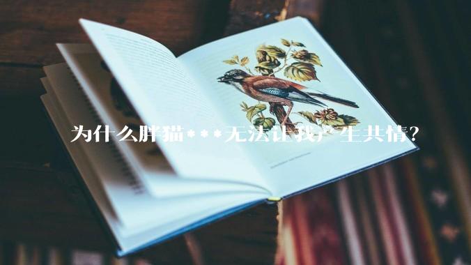为什么胖猫***无法让我产生共情？
