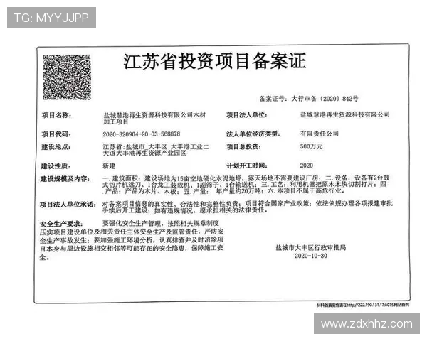 盐城大丰港战队勇夺冠军 展现团队协作与竞技实力