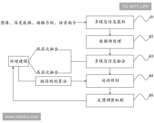 探讨体育运动促进身心健康与社会融合的多维度路径研究策略框架