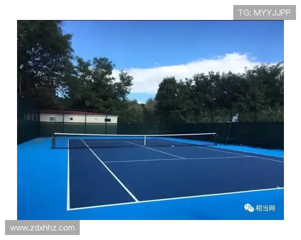 从草地到红土网球场地变化如何影响球员技术与比赛策略分析