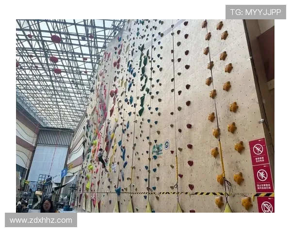 北京攀岩队在攀岩联赛中的技术表现分析与点评