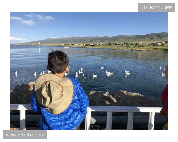 重庆排球队精英赛之路：从默默无闻到荣耀巅峰的奋斗历程